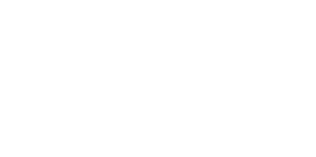 Digital Associates